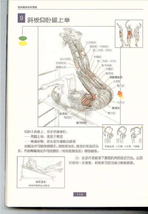 全身肌肉健身计划