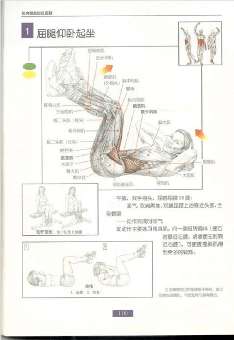 全身肌肉健身计划