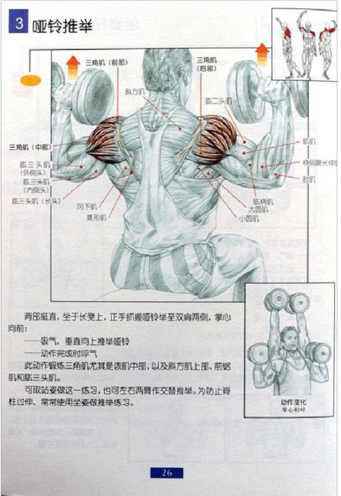 全身肌肉健身计划