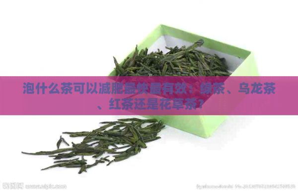 泡什么茶可以減肥最快最有效：綠茶、烏龍茶、紅茶還是花草茶？