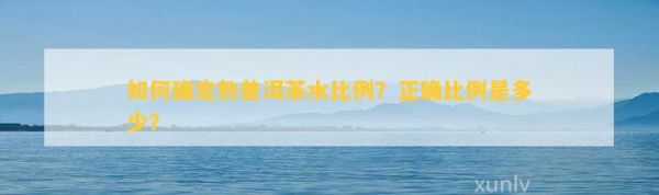 如何確定熟普洱茶水比例？正確比例是多少？