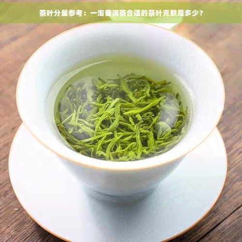 茶叶分量参考：一泡普洱茶合适的茶叶克数是多少？