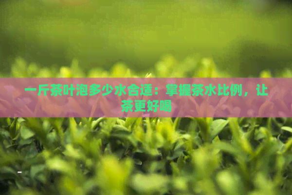 一斤茶叶泡多少水合适：掌握茶水比例，让茶更好喝