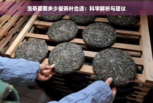 泡茶需要多少量茶葉合適：科學(xué)解析與建議