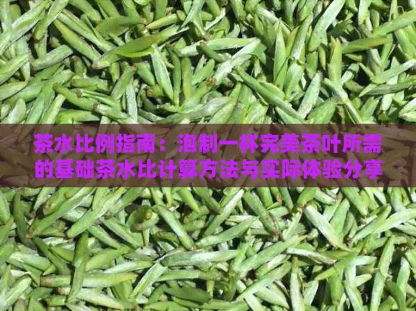 茶水比例指南：泡制一杯完美茶葉所需的基礎(chǔ)茶水比計算方法與實際體驗分享