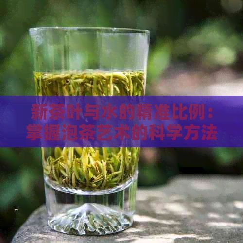 新茶葉與水的精準(zhǔn)比例：掌握泡茶藝術(shù)的科學(xué)方法
