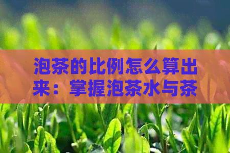 泡茶的比例怎么算出來：掌握泡茶水與茶葉比例的關(guān)鍵
