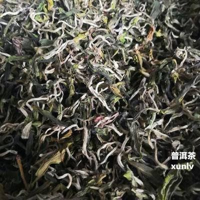 滇紅的茶水比例是多少合適？