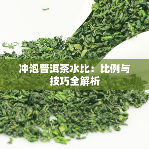 冲泡普洱茶水比：比例与技巧全解析