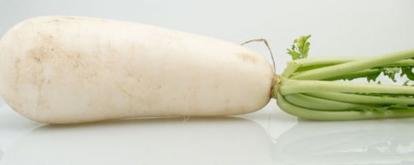 春季吃什么食物減肥 春季女性吃什么食物好 春季養(yǎng)生常識