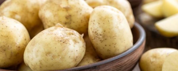 春季吃什么食物減肥 春季女性吃什么食物好 春季養(yǎng)生常識