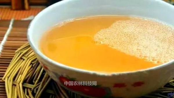 教你两种柿子醋的简单做法，好喝健康还能美容减肥（请收藏）