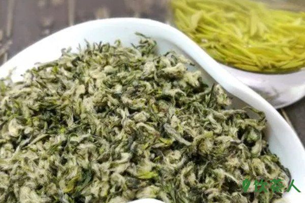 碧螺春最好時節(jié)的茶，碧螺春什么時候的茶最好(明前茶最嫩)