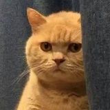 不想成為江湖騙子