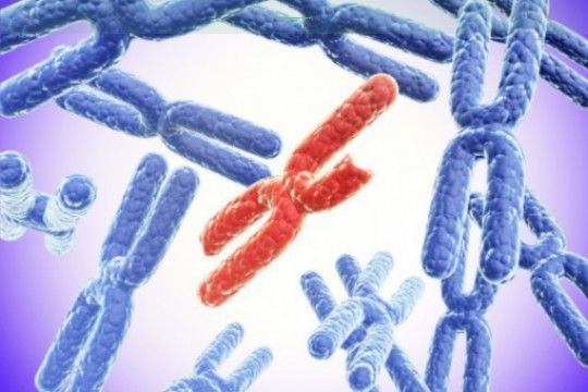 〖福州盆腔粘连患者能否成功进行试管婴儿？有5家医院技术好!〗
