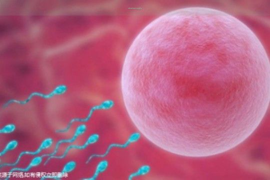 〖昆明三代试管婴儿生育费用全揭秘!附影响成功率的关键!〗