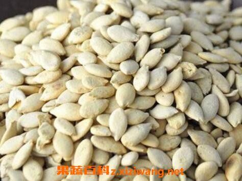 冬瓜子的功效與作用 冬瓜子怎么用美容