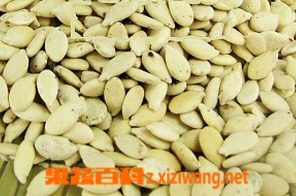 果蔬百科冬瓜籽的功效與作用