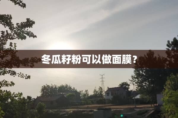 冬瓜籽粉可以做面膜？