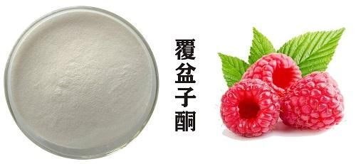 覆盆子酮的性狀圖.jpeg
