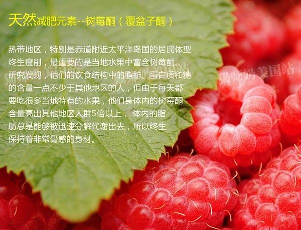 鄭多燕推薦覆盆子酮減肥效果測(cè)試