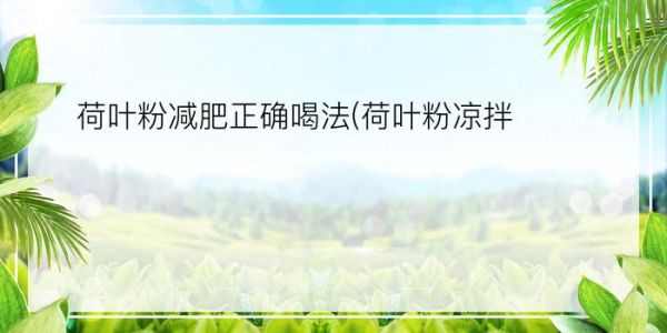 荷叶粉减肥正确喝法(荷叶粉凉拌)