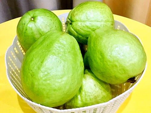 番石榴茶有副作用嗎