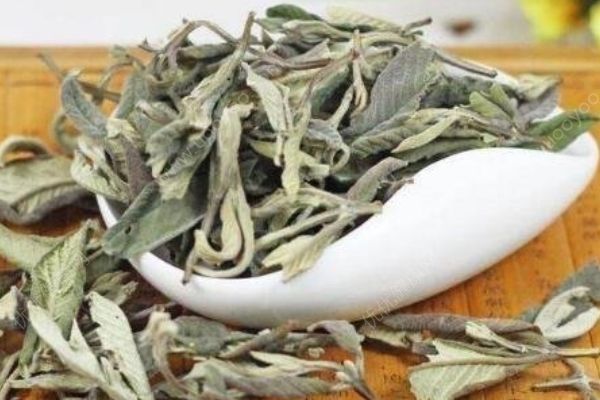番石榴葉茶有哪些功效？番石榴葉茶有副作用嗎？(1)