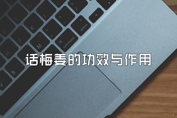 話梅姜的功效與作用