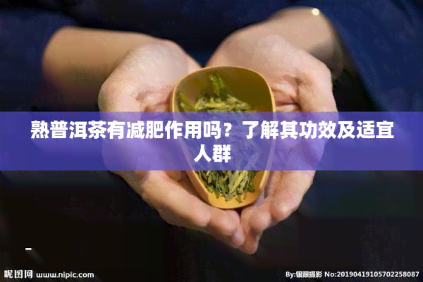 熟普洱茶有減肥作用嗎？熟悉其功效及適宜人群