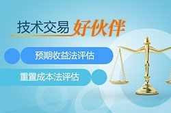技術(shù)評(píng)估