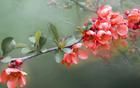 老夫老妻性生活前后，絕不能忽視的關(guān)鍵細(xì)節(jié)！