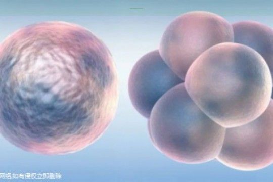 〖高龄安徽试管自然周期**-全程一共八个步骤整理!〗