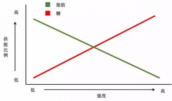 春雨醫(yī)生