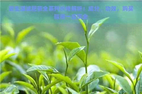 碧生源减肥茶全系列价格解析：成分，功效，购买指南一应俱全