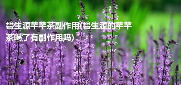碧生源芊芊茶副作用(碧生源的芊芊茶喝了有副作用嗎)