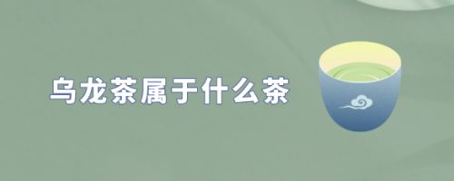 烏龍茶屬于什么茶？