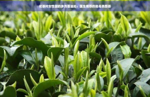 花茶对女性健的多方面益处：医生推荐的排养颜茶