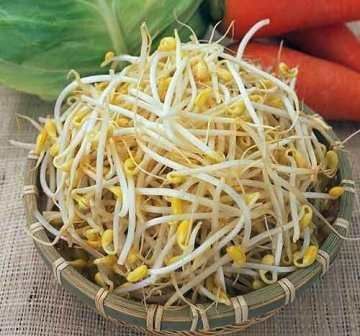 日常生活十大健康美白食物 365知識網(wǎng)