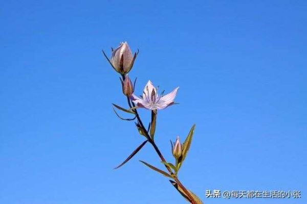 保持健康的14個生活細節(jié)