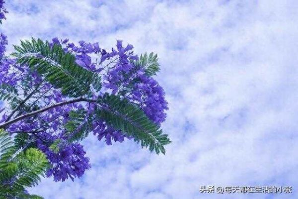 保持健康的14個生活細節(jié)