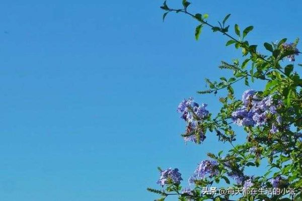 保持健康的14個生活細節(jié)