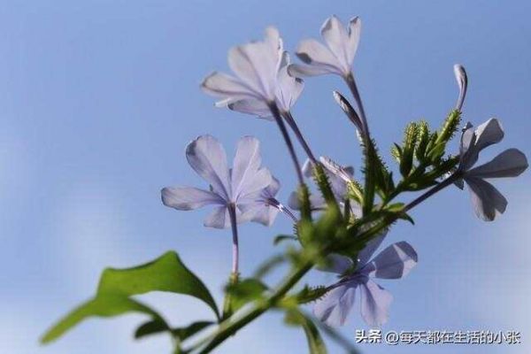 保持健康的14個生活細節(jié)