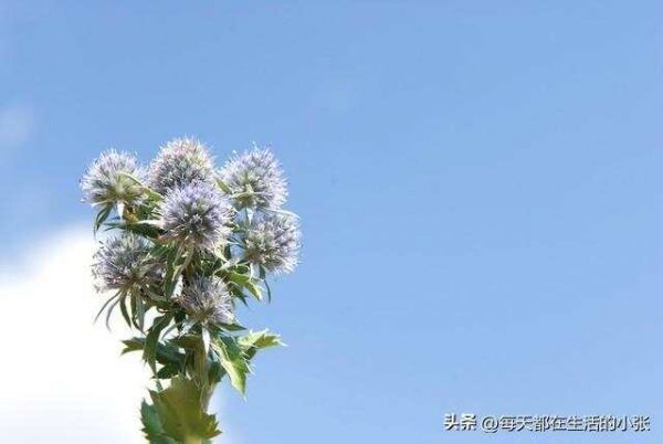 保持健康的14個生活細節(jié)
