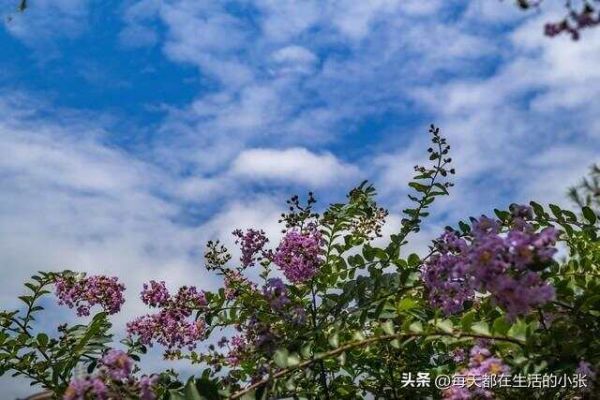 保持健康的14個生活細節(jié)