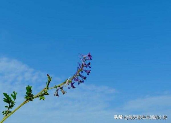 保持健康的14個生活細節(jié)