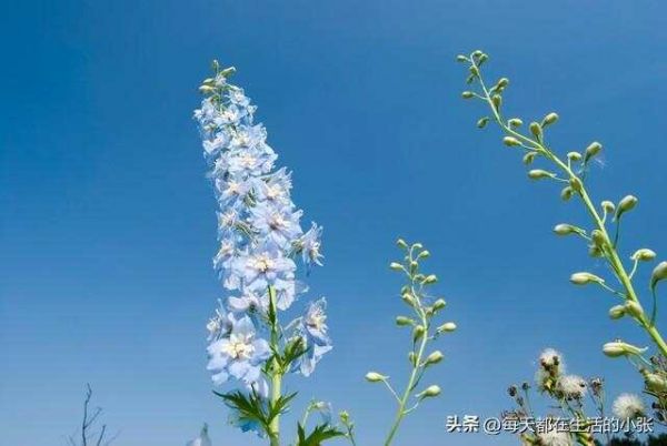 保持健康的14個生活細節(jié)