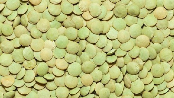 豆?jié){pk牛奶哪個更能減脂