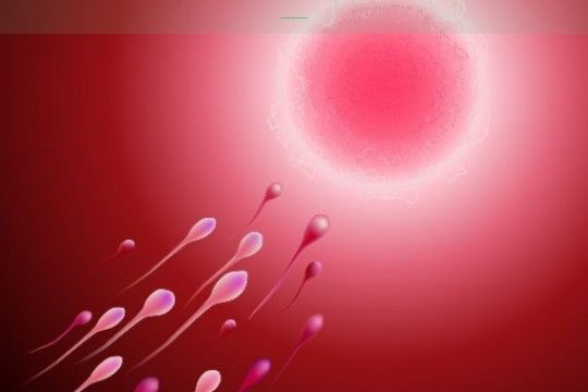 〖宁夏试管婴儿的流程详细攻略-过来人经验带你了解!〗
