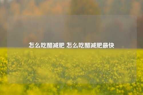 怎么吃醋減肥 怎么吃醋減肥最快